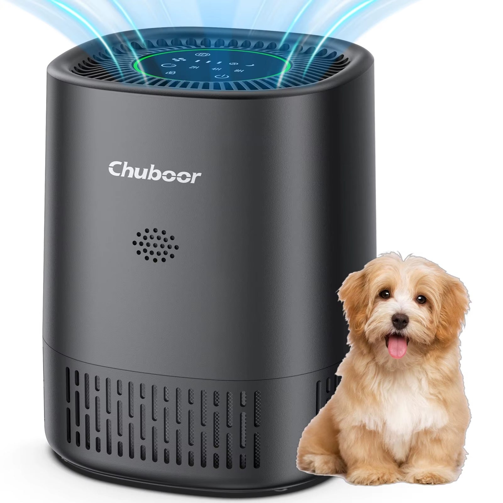 Best Home Air Purifier – Removes Allergens, Pet Odors & Smoke